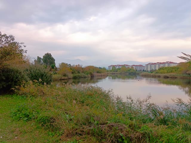 Смотровая площадка