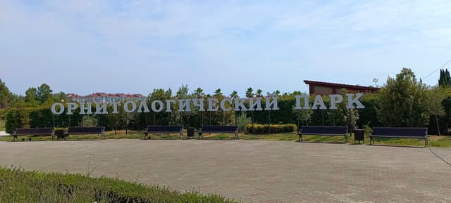 Смотровая площадка
