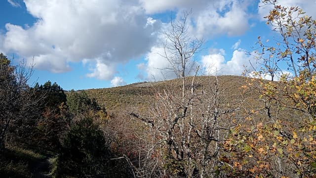 гора Широкая 242 метра