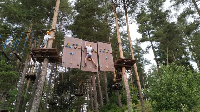 Веревочный парк — что посмотреть