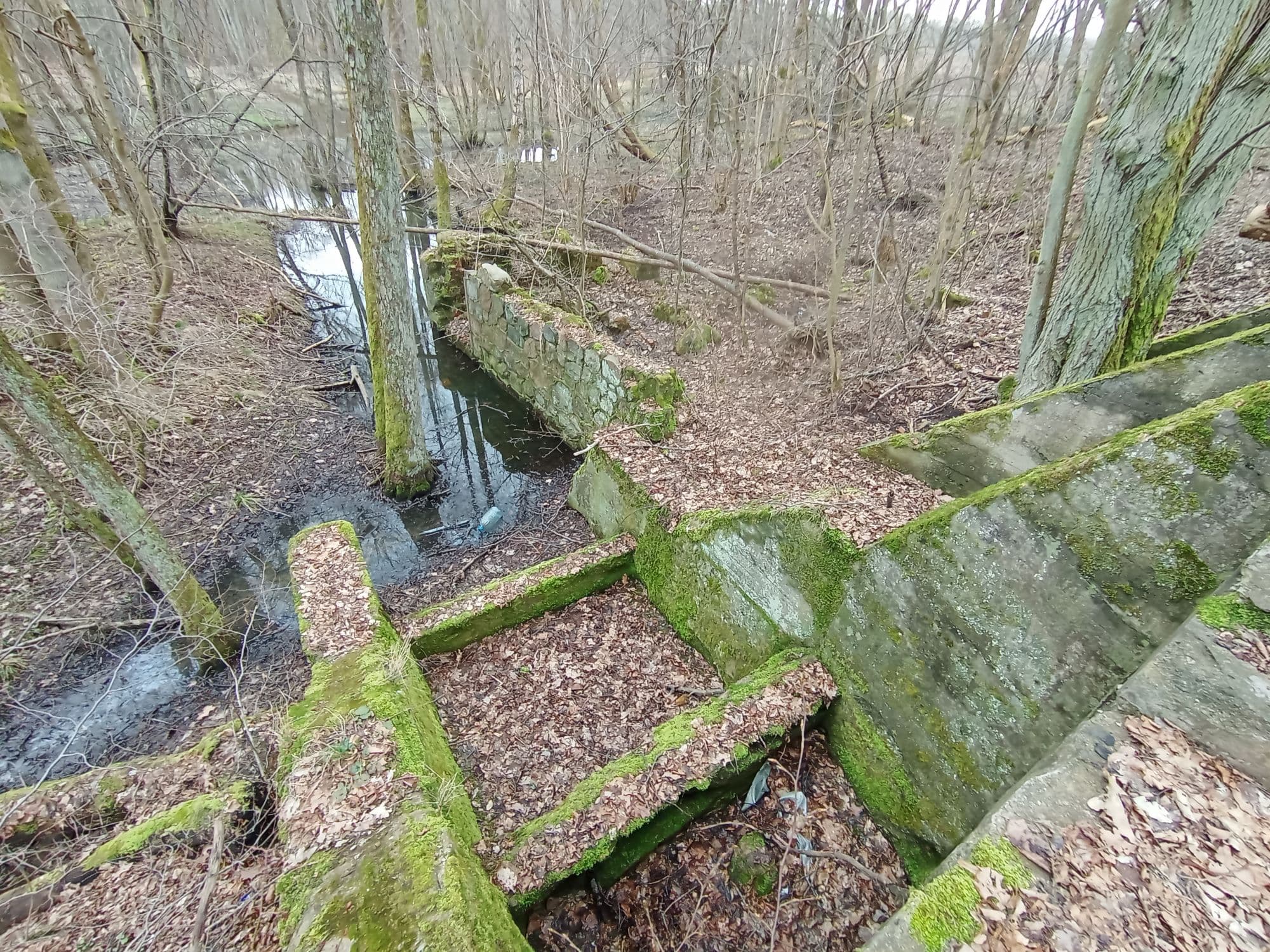 Мельница Мюльфельда