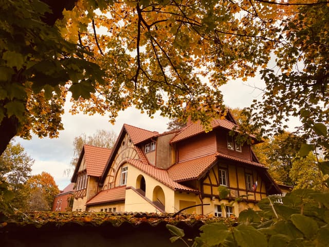 Вилла Лео