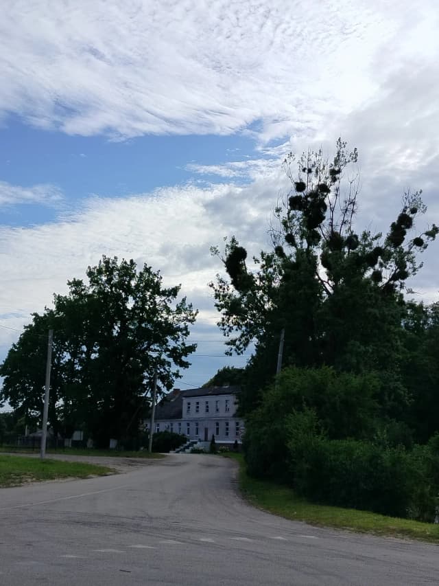 Замок Заалау
