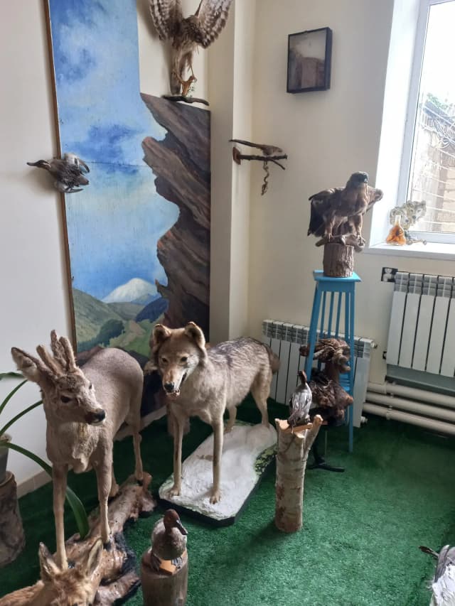 Дагогнинский музей