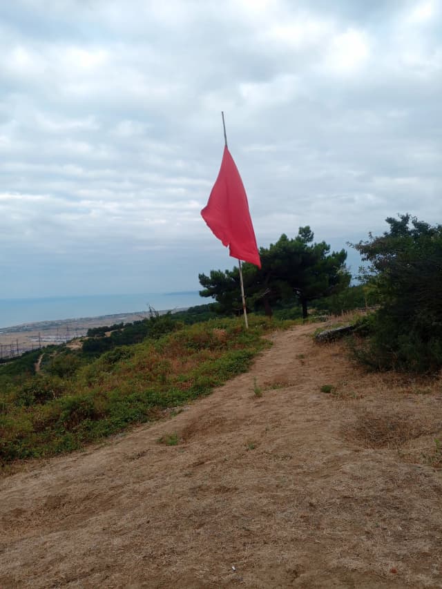 Петровская роща