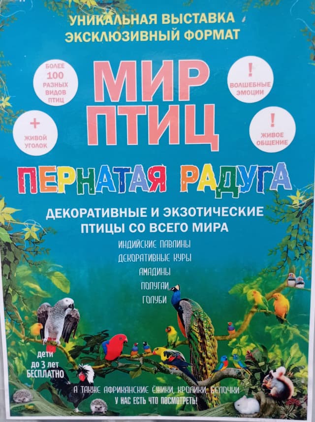 Пернатая радуга