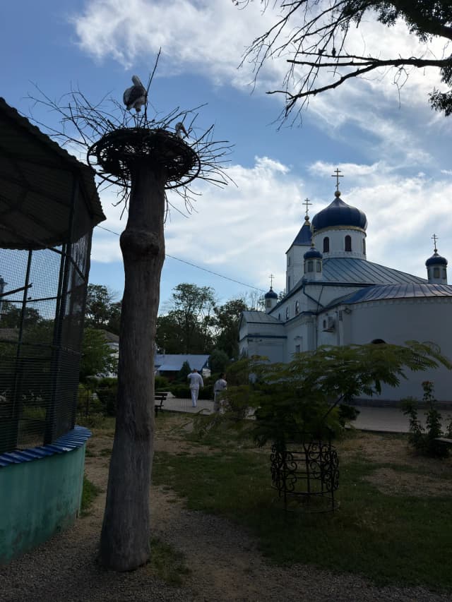 Собор Архангела Михаила