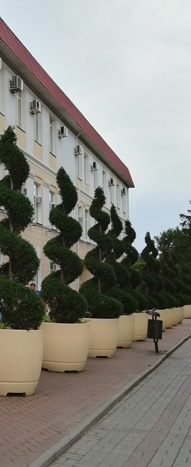 Дом Советов