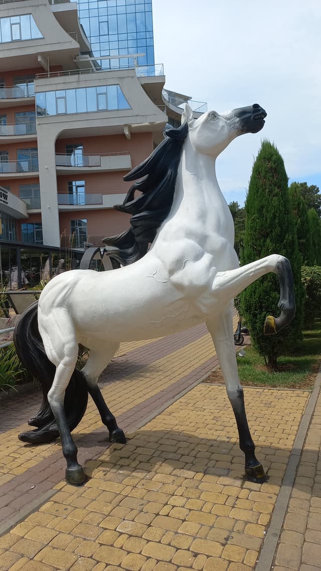 Конь