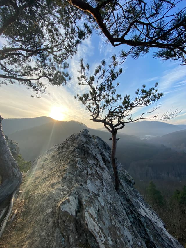 Планческие скалы