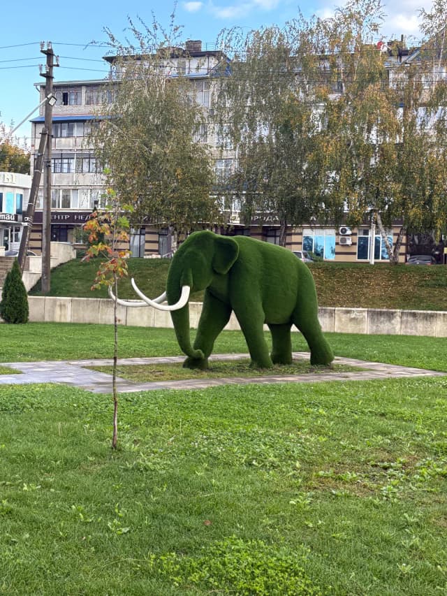 Смотровая площадка