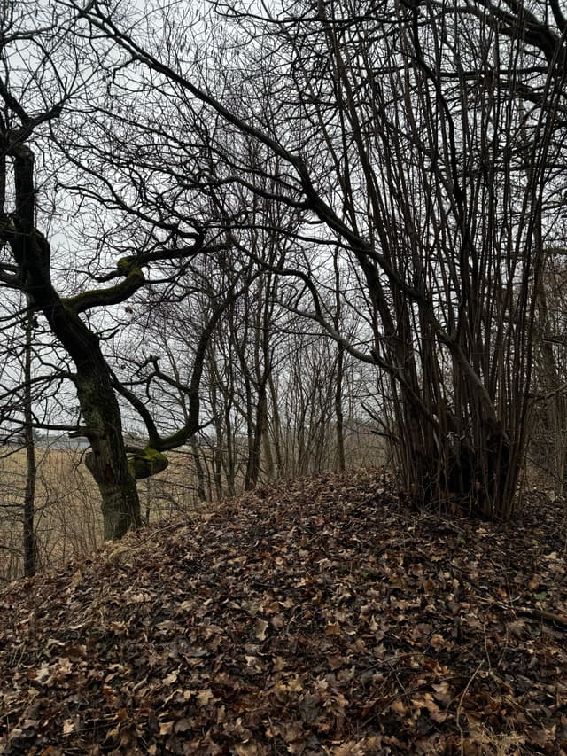 Городище Шанценберг-Гермау