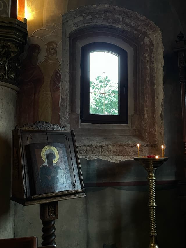 Янтарное дерево