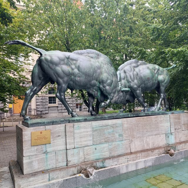 Борющиеся зубры