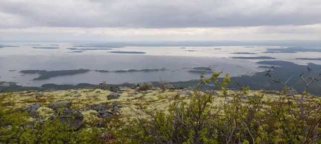 Гора Малая Куртяжная