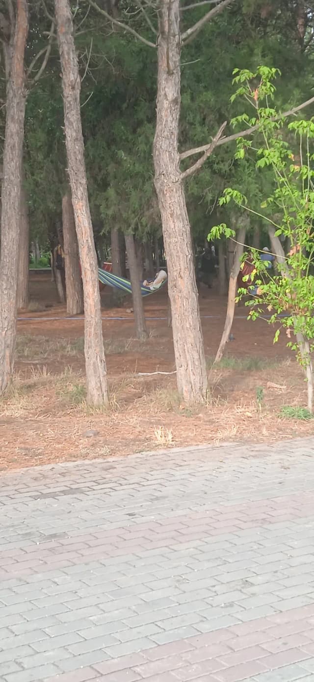 Аллея Скорбящей Матери