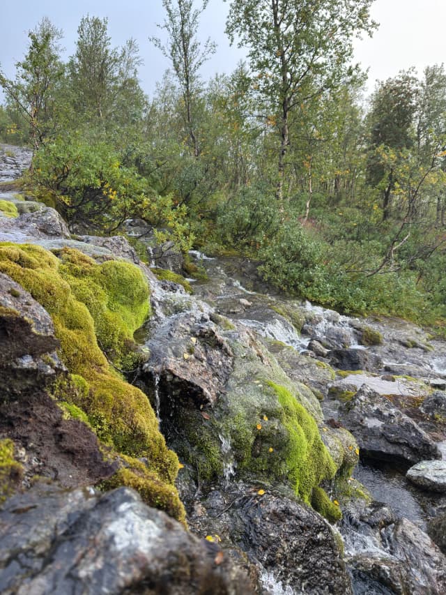 Водопад