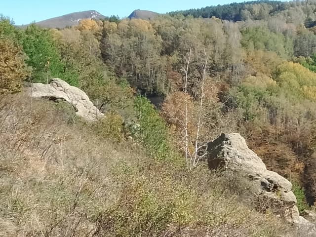 Синие камни