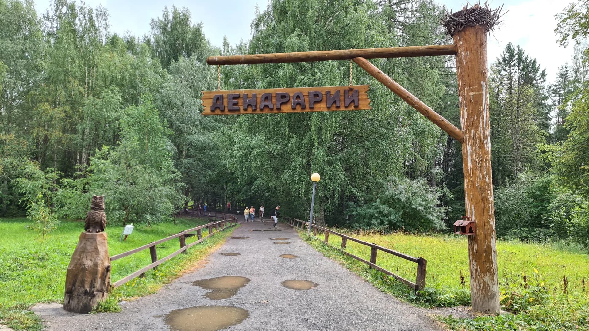 Дендрарий