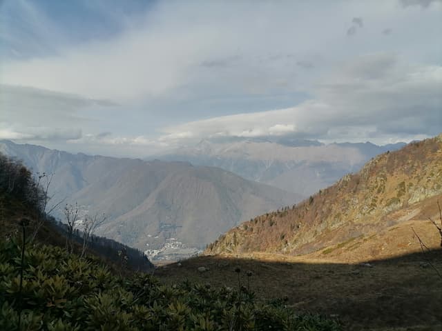 Ацангуар