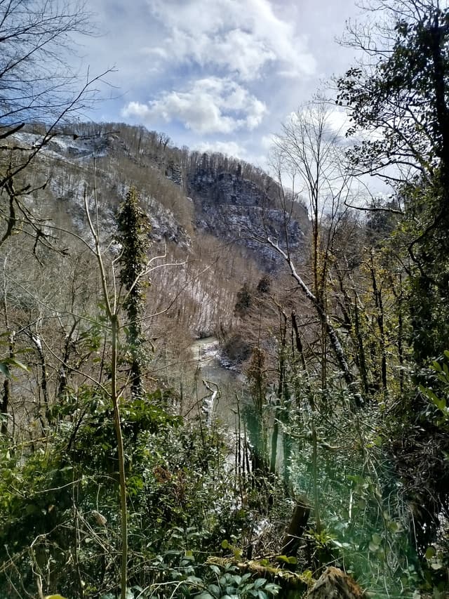 Белые скалы