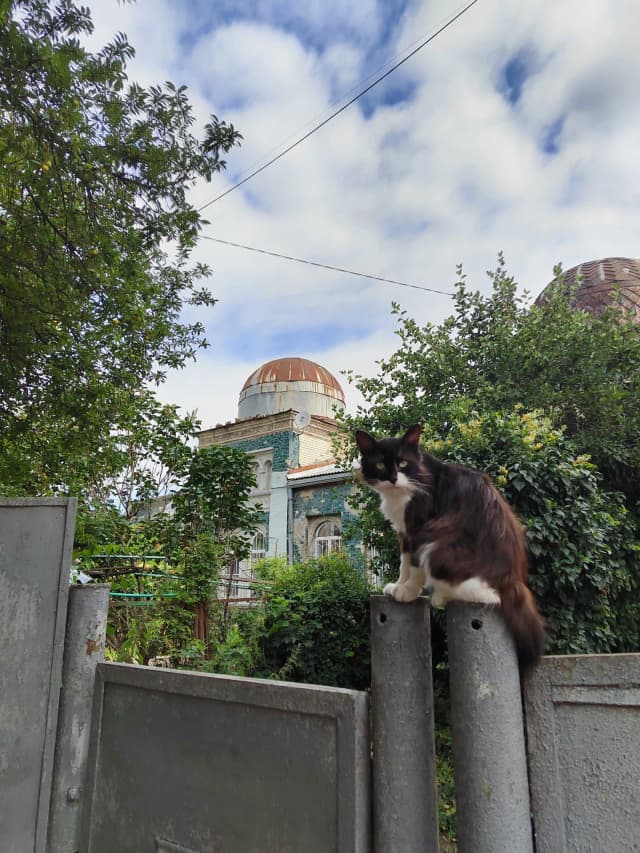 Особняк любви