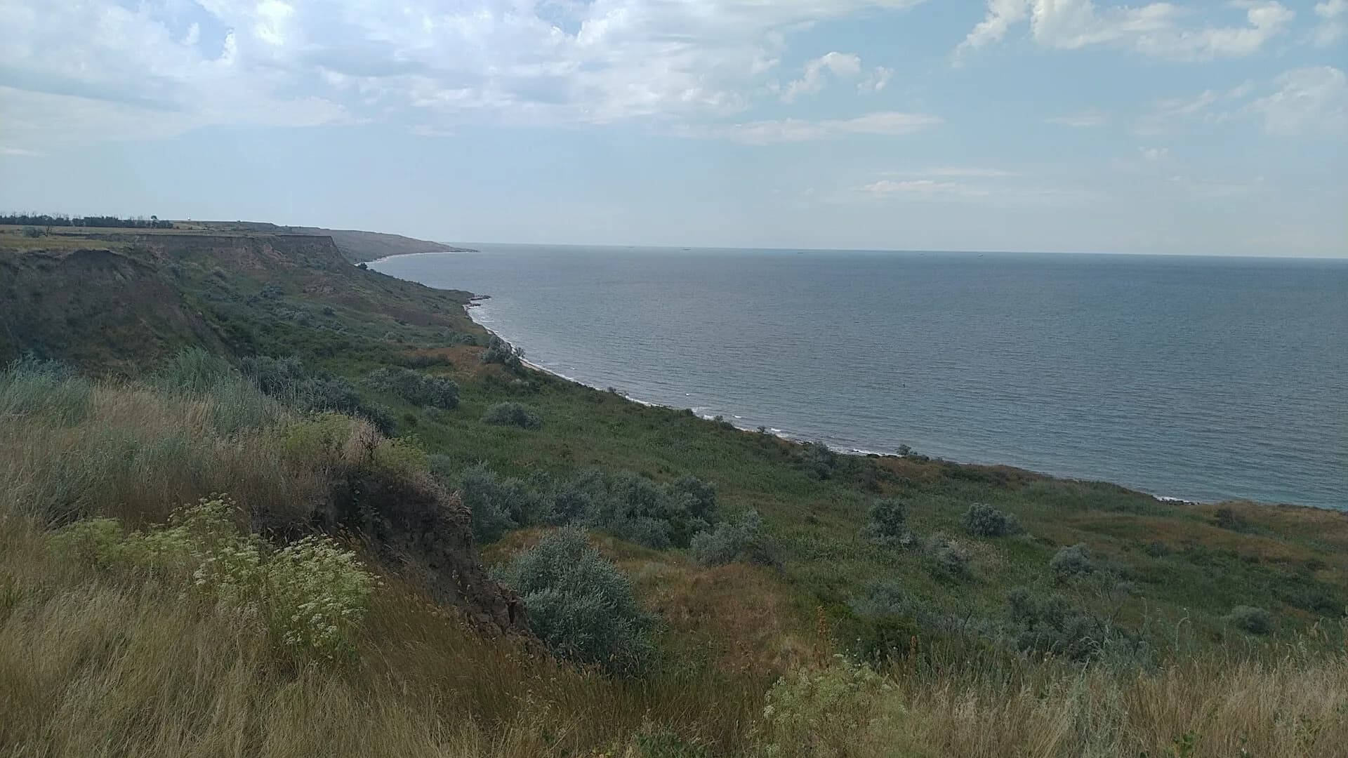 Смотровая площадка