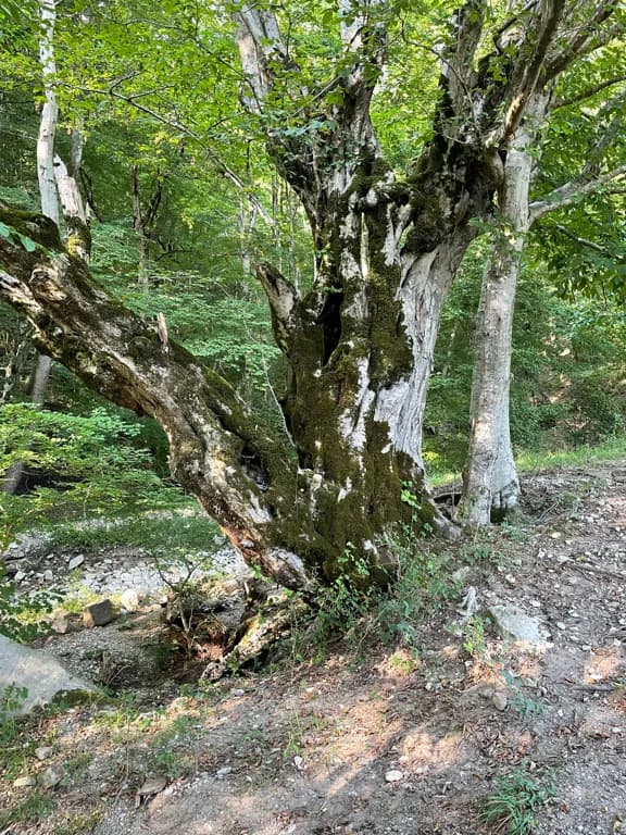 Каскад карстовых водопадов