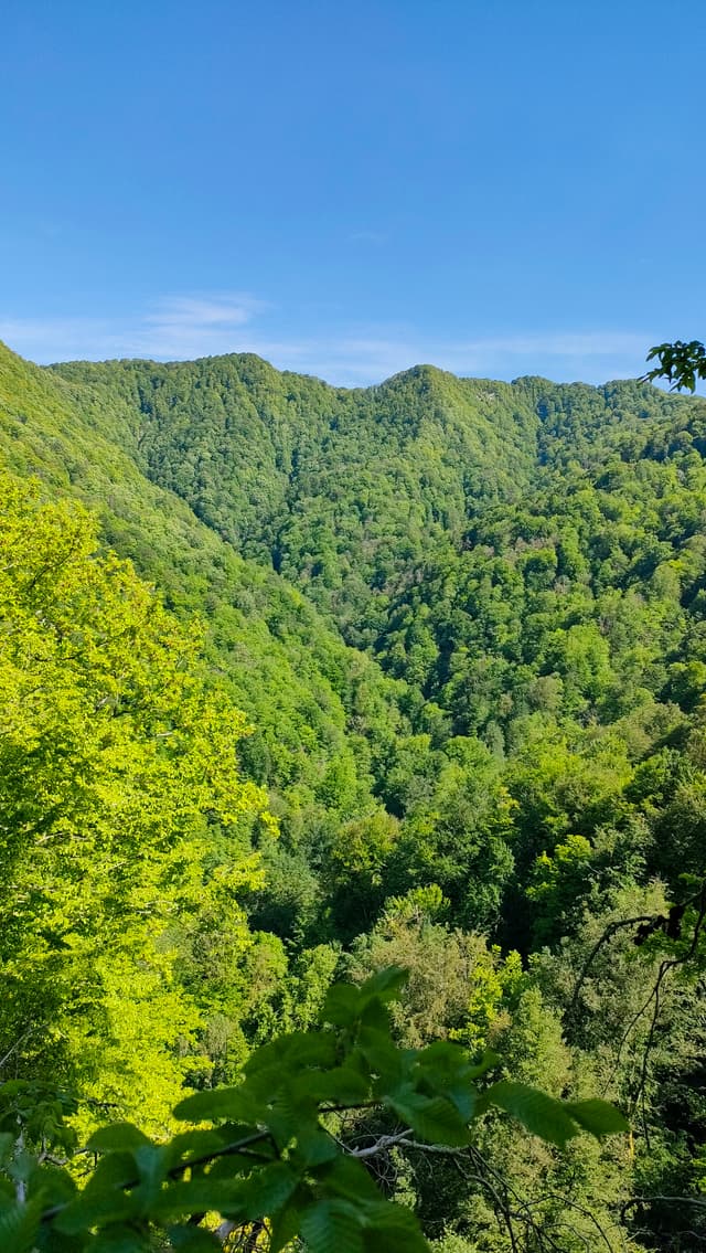 Солохаульская крепость