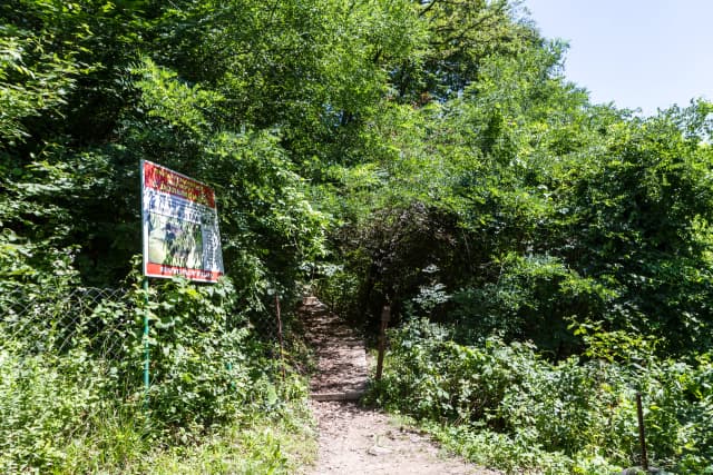 Тоннель в будущее