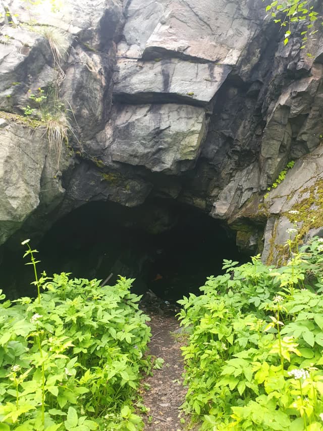 Бункер