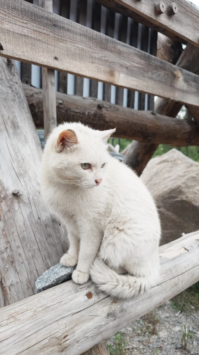 Замок Кархумяки