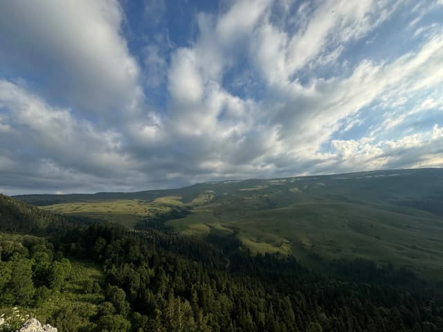 Альпийские луга
