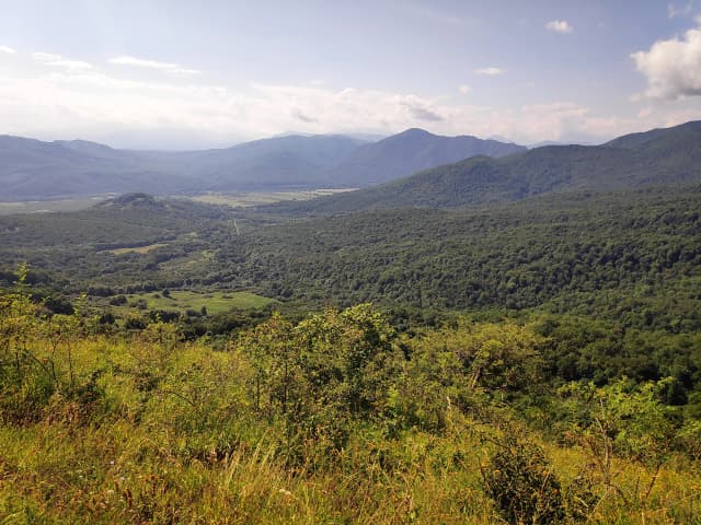 Дегуакская панорама