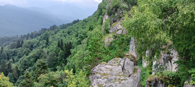 Сухой Курджипс