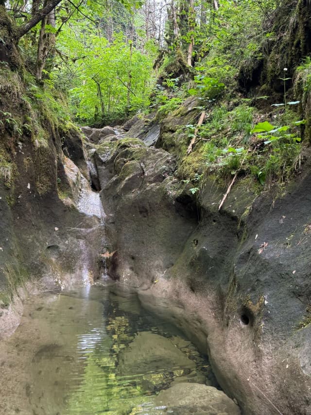 Водопад Пальмовый
