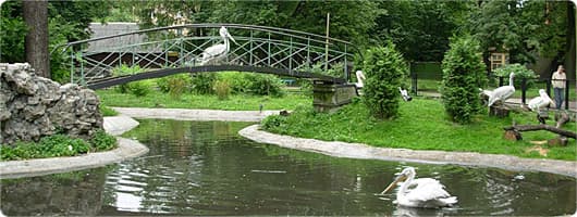 Калининградский зоопарк