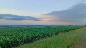 Гора Шикунова