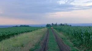 Гора Шикунова