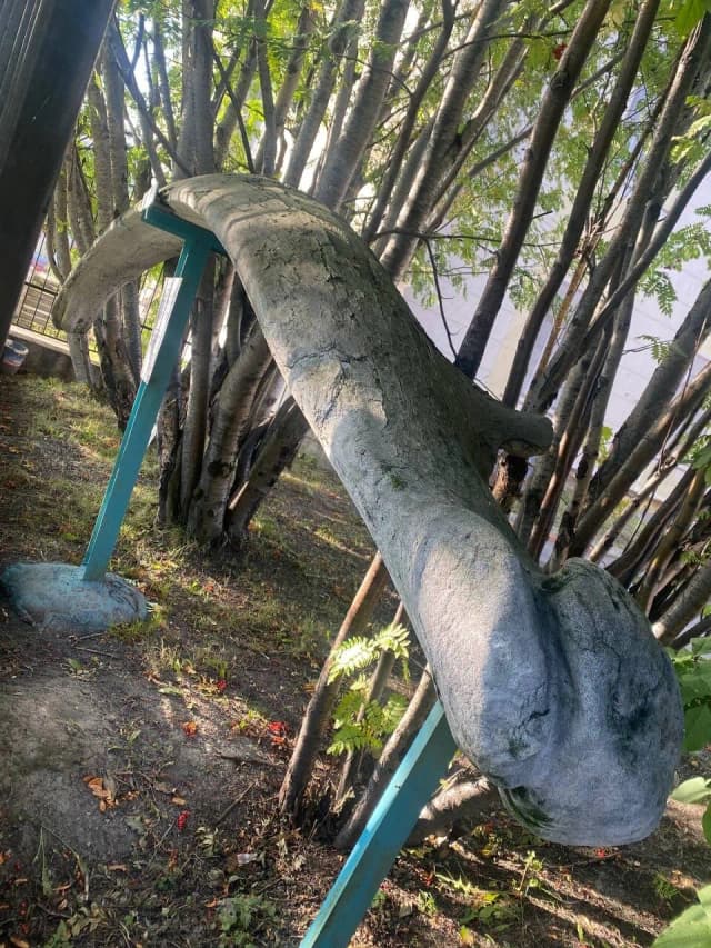 Челюсть синего кита