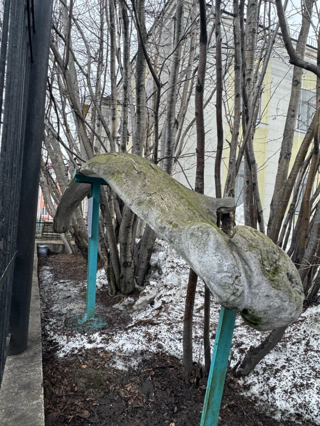Челюсть синего кита