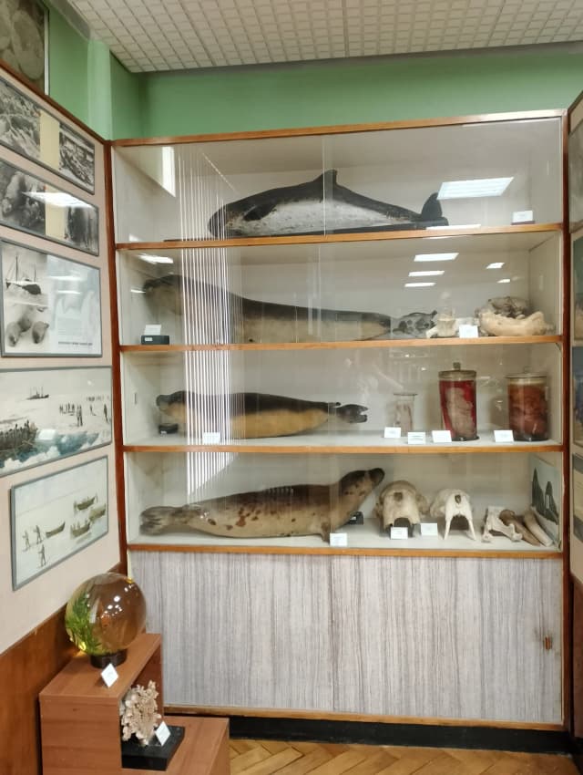 Экспозиция истории Пинро