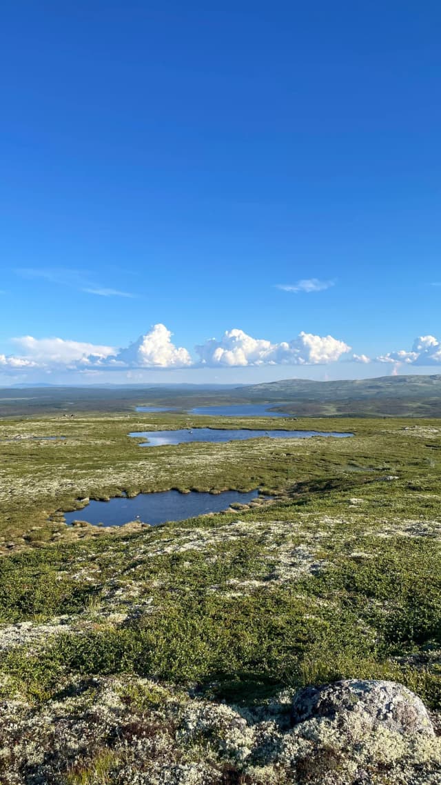 Гора Лисья
