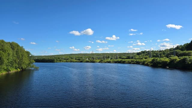 Подвесной мост