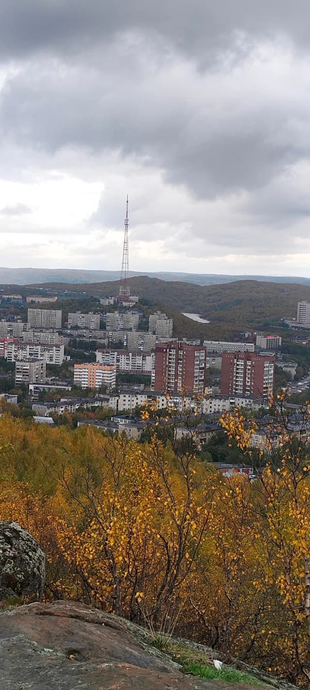 Вид на Кольский мост