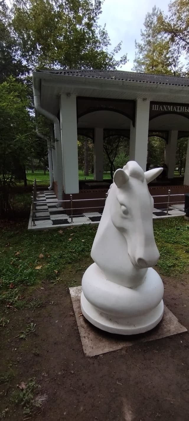Шахматный домик