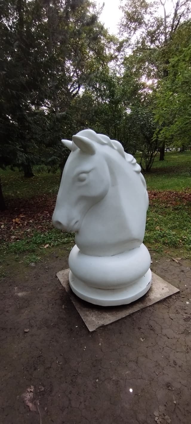 Шахматный домик