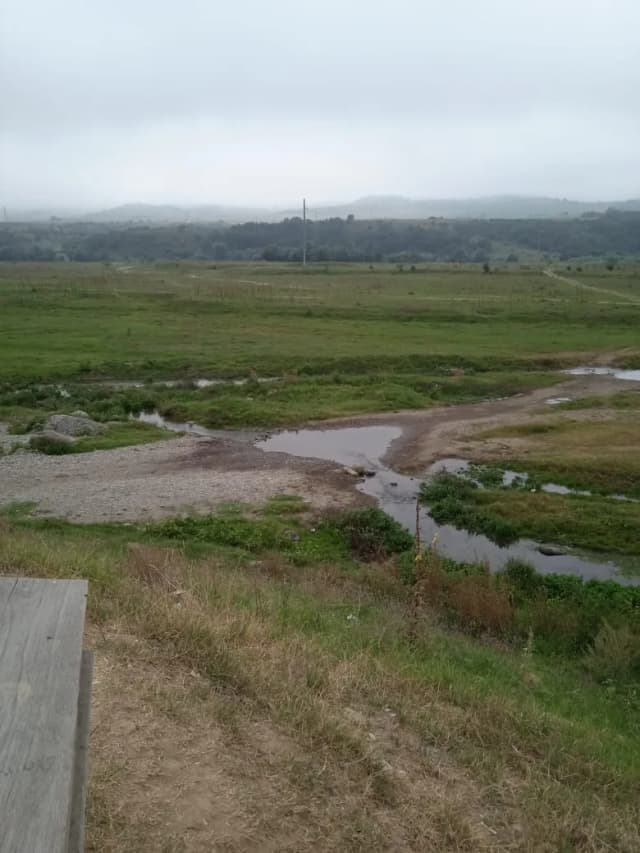 Борга-каш