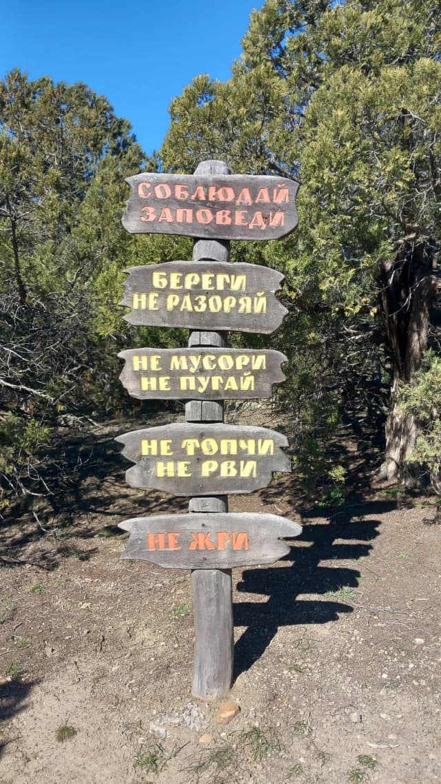 Реликтовая можжевеловая роща