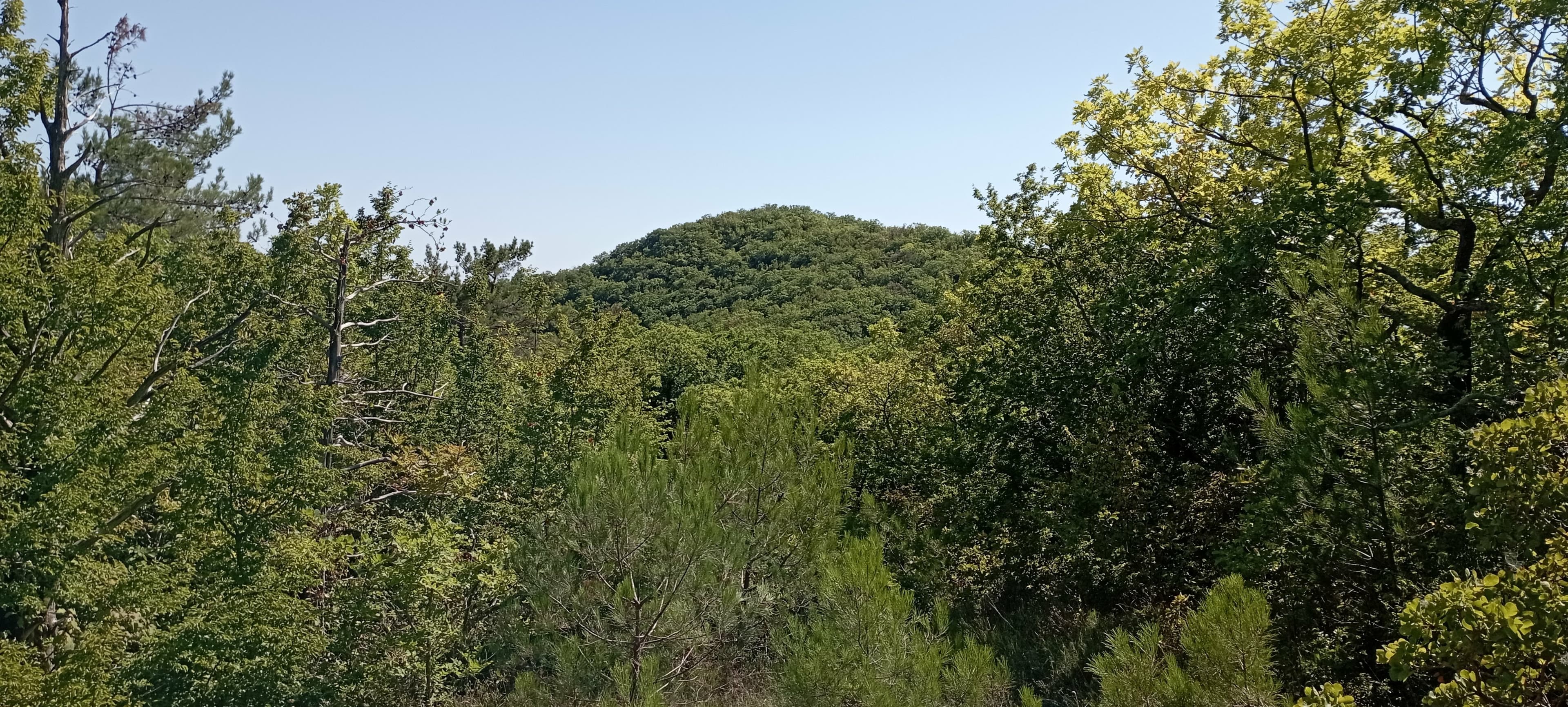 Гора Миллионы